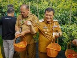 Gubernur: Jateng Penopang Utama Cabai Nasional